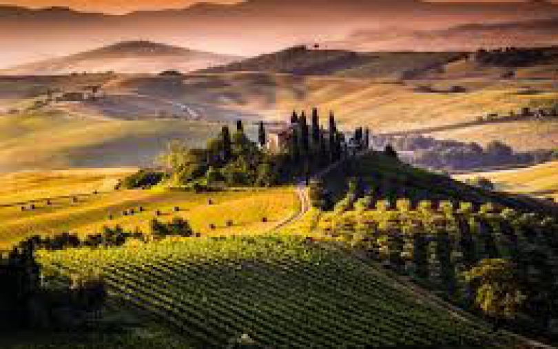 Вино Тосканы (Toscana).